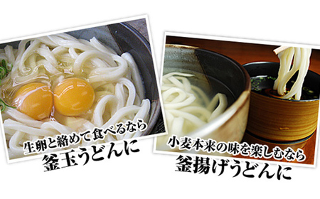 さぬき醤油うどん (1500g) 蔵出し一番付 (うどん250g×6袋、蔵出し一番100ml×3本) セット 詰合せ さぬきうどん 讃岐 うどん ぶっかけ だし醤油 麺 名物 ご当地 グルメ 食品 四国 F5J-332
