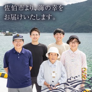 ＜訳あり・業務用＞きびなごの丸干し (計約1kg) 干物 ひもの 唐揚げ フライ 天ぷら 焼き物 お弁当 おかず お酒のおつまみ 大分県 佐伯市 【GH001】【増野善雄商店】