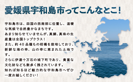 生甘酒 セット 500ml 3種 企業組合いわまつ 甘酒 H010-006005