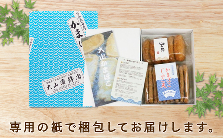 じゃこ天 じゃこカツ 練り物 詰合せ 大山かまぼこ店 練り物 C010-007001