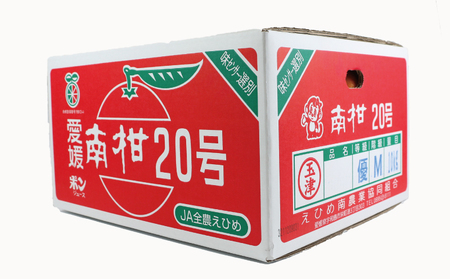 【温州みかん】優品南柑20号10kgJA温州みかん|B020-009002