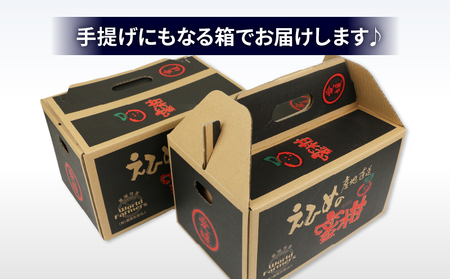 【米】温州みかん小玉約3kg伊達米コシヒカリ3kgWF│B012-024003