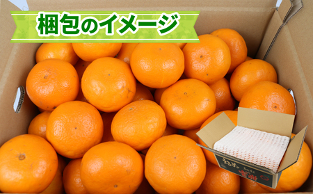 【柑橘】はれひめ4kgWF柑橘B012-024005