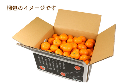  【 みかん 】みかん南柑20号10kg家庭用上杉果樹園|B012-056002