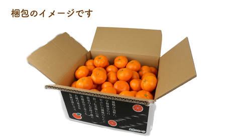 温州みかん 南柑20号 5kg MまたはL サイズ 上杉果樹園 温州みかん B010-056004