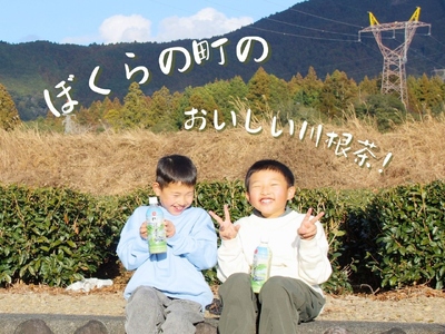 19-2 匠厳選！高級一番茶「川根茶」ペットボトル　１ケース