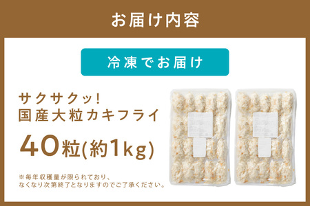 サクサクッ!国産大粒カキフライ40粒(約1kg)【001-0011】