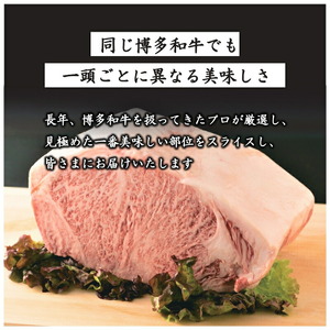 博多和牛サーロインステーキセット　500g[250g×2枚]【014-0028】