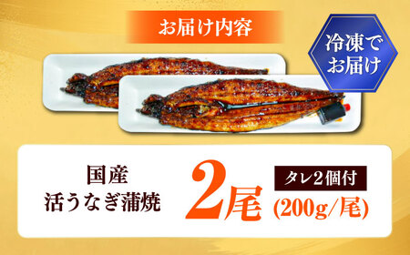 国産活うなぎ蒲焼 2本入 [AICQ005] 鰻