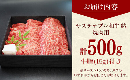  牛肉 焼肉用（ロース/バラ/モモ/カタ） 500g [AIAT014] 