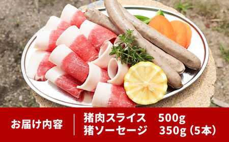 猪肉 イノシシBBQセット 5人前（猪肉、イノシシソーセージ）[AIAK001] 
