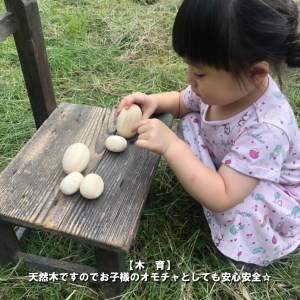 吉野ひのき玉たまごネット　10個《株式会社南都木材産業》