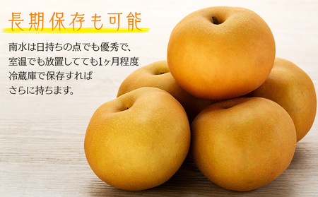 梨 訳あり 南水 4kg 8～12玉 フルーツ 果物  旬の果物 旬のフルーツ 甘い