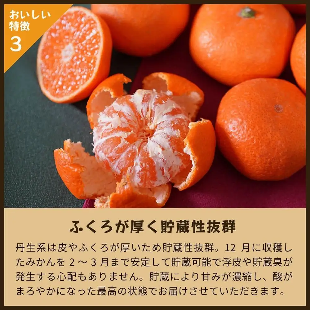 蔵出しみかん丹生系　5kg家庭用｜和歌山県海南市下津町の特産品蔵出しみかんの最高級品種を産地直送でお届け【2027年2月発送開始】