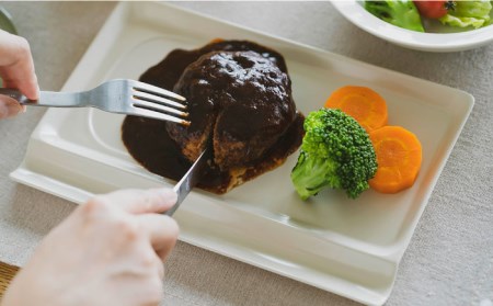 【波佐見焼】【お箸が置ける！】重宝皿 ロングカラー プレート 5枚セット 食器 皿 【アイユー】 [UA29]  波佐見焼