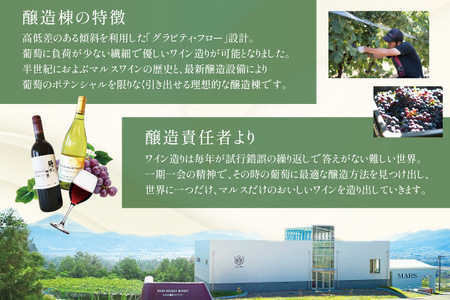 ワイン 定期便 2本 4回 計8本 赤 白 飲み比べ ソムリエ 厳選 おまかせ ギフト  [マルス穂坂ワイナリー 山梨県 韮崎市 20743306]