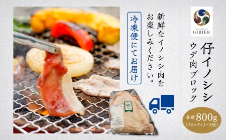 仔イノシシ ウデ肉 ブロック800g  ジビエ 猪肉 イノシシ肉