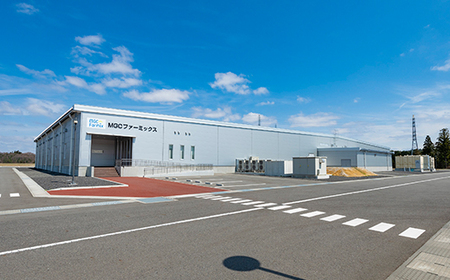 定期便 12ヶ月連続 植物工場で育てた5種のレタス食べくらべセット 10パック F23R-787