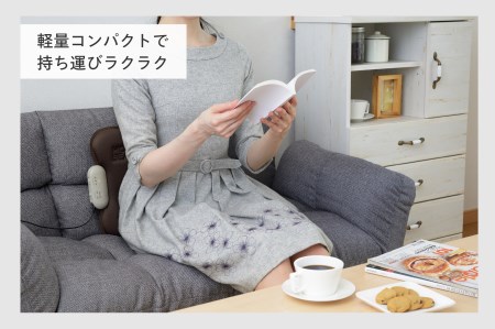ホットシートマッサージャー HOT BEAT (EM-2538BR)