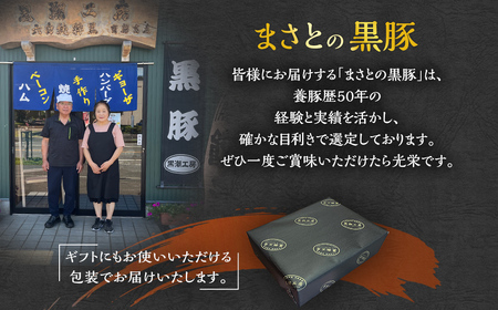 ＜まさとの黒豚加工品セット＞翌々月末迄に順次出荷【c024_ks_x3】