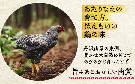 丹沢滋黒軍鶏　半身セット※離島不可（北海道、沖縄本島も不可）※着日指定送不可