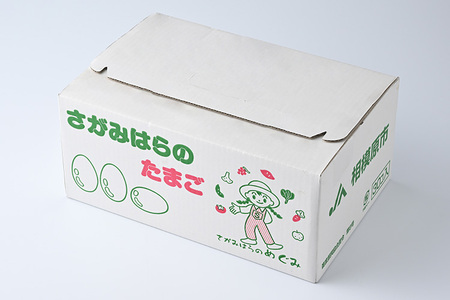 鶏卵　プリマスロック（交配種）の卵　化粧箱入り30個