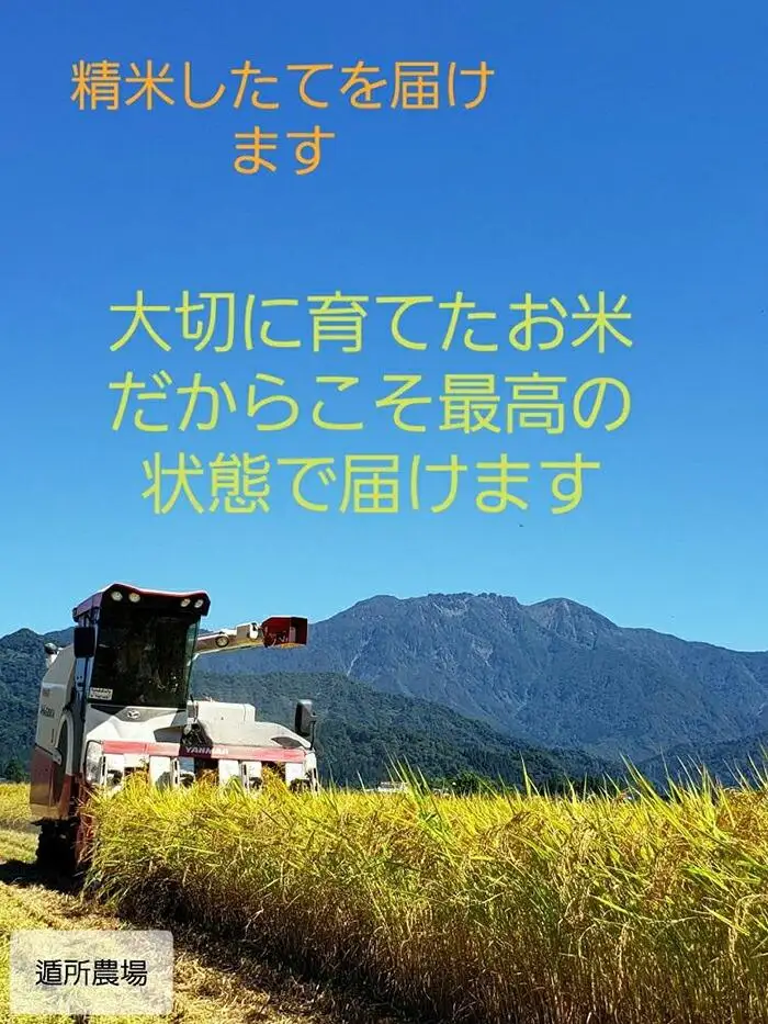 【令和8年産新米予約】【お米定期便/全６回】南魚沼産コシヒカリ　　白米５ｋｇ【定期便 銘柄米 ブランド米 精米 こしひかり コシヒカリ 魚沼産 新潟米 産地直送 お米 米】【2026年10月中旬から1ヶ月以内に順次発送予定】