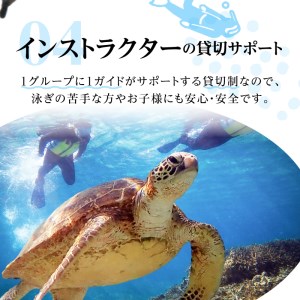 スキンダイビング（ 2名様 ） A051-002 アクティビティ 体験型 体験チケット 2名分 ガイド付 完全貸切 OCEANZ-オーシャンズ ふるさと納税 鹿児島県 奄美市 おすすめ ランキング プレゼント ギフト