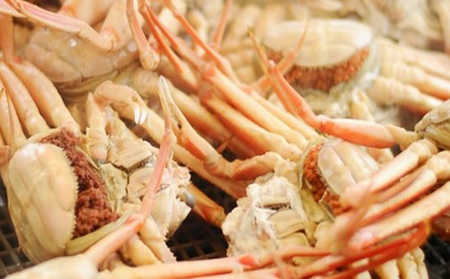 茹で越前ガニ【期間限定】食通もうなる本場の味をぜひ、ご堪能ください。越前ガニ 約900g＋セイコガニ3杯 越前がに 越前かに 越前カニ カニ ボイルガニ 蟹 