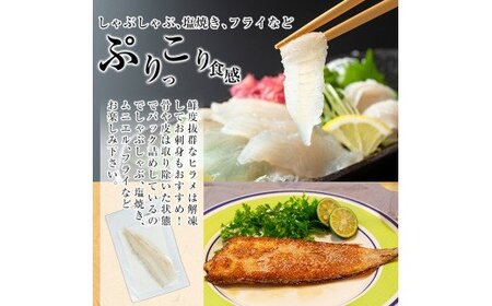 A0-331 鹿児島県産！薩摩隼人ひらめ230g以上(2～3P)【MBC開発】霧島市 ヒラメ 刺身ヒラメ 刺身 冷凍