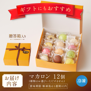 種類はおまかせ！ふるさと納税限定マカロン(12個入)　お菓子 マカロン アソート 冷凍 手作り バニラ チョコレート 木苺 カシス ヘーゼルナッツ ココナッツチョコレート 抹茶 ピスタチオ パッションショコラ バジル オレンジ ロイヤルミルクティー エスプレッソ [h194]