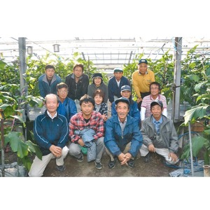 幸田町産「とげなし美茄子」 5kg ｜ なす ナス 茄子 野菜 ※11月～6月下旬頃に順次発送予定