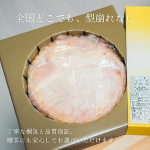 チーズケーキアントルメ 7号[21cm] 8～10人分 / 丸安田中屋 チーズケーキ 菓子 洋菓子 信州 長野県 諏訪市 諏訪 [18-03]