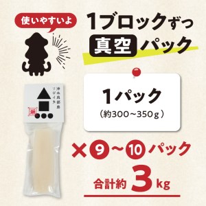 冷凍保存Ｏk！エメラルドブルーの美しい海で育ったおいしいソデイカ冷凍ブロック3キロ（9～10人前）！ W022-031u 魚 冷凍 イカ 加工品