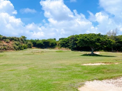 南の島のゴルフコース（ショートコース）1日回り放題プレー券！シューズ・クラブ・ボールレンタル料込の超満喫プラン！（2名様） W049-002 チケット 体験