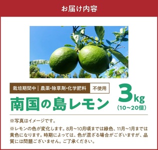 ■【 先行受付 】 栽培期間中 農薬 ・ 除草剤 ・ 化学肥料不使用 ！ 南国 の 島レモン 3kg ！【2026年9月～2027年2月下旬お届け】 W043-004u 果物