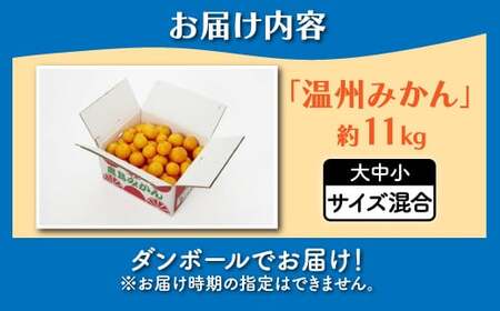 みかん 約11kg 佐賀県鹿島産 温州みかん サイズ混合 | 《先行受付11月上旬より発送予定》みかん ミカン 甘い 小玉含む フルーツ 果物 果実 くだもの 蜜柑 柑橘 国産 冬季 大容量 家庭用 贈答 お取り寄せ 佐賀県 鹿島市 B-99