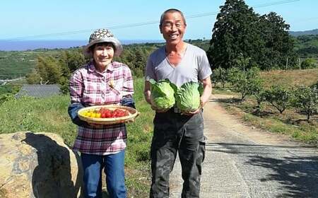 【12ヶ月 定期便】【野菜ソムリエ選定】 肥前の国のお野菜定期便 新鮮 採れたて 野菜 直売所 野菜 8～10品目 野菜定期便 J-14