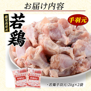 若どり手羽元(4kg)【まつぼっくり】matu-7205