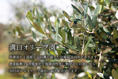 オリーブオイル・へべすオリーブオイル　2本セット [溝口オリーブ園 宮崎県 日向市 452060737]