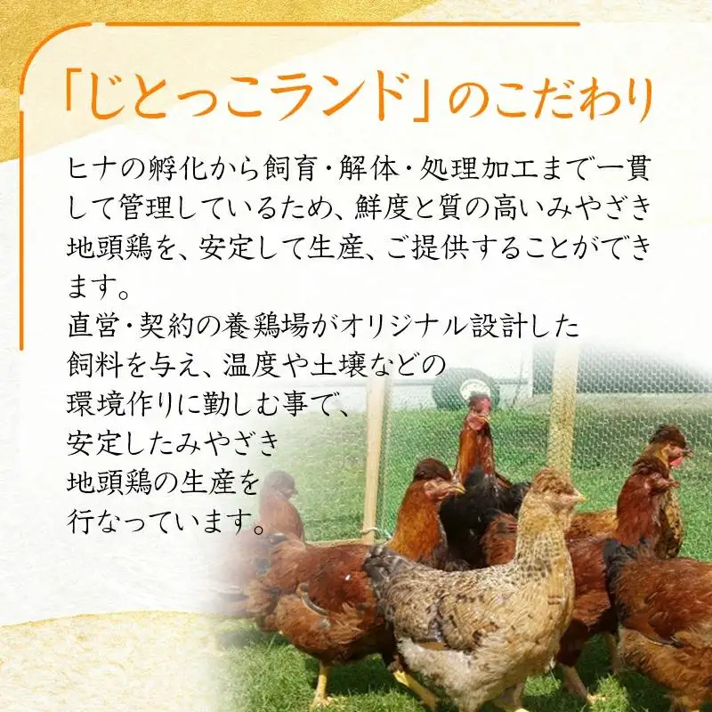 ブランド地鶏 みやざき地頭鶏　炭火焼 160g×5パック 小分け＜50-1a＞
