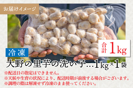 【先行予約】簡単手間なし！冷凍のまま調理！大野 里芋の洗い子 1kg×1袋 【10月中旬より順次発送】｜サトイモ 煮物 煮っころがし