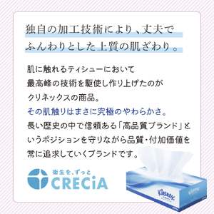 【 定期便 2ヶ月 】 ティッシュ クリネックス 60箱 ( 5箱 × 12パック ) 
