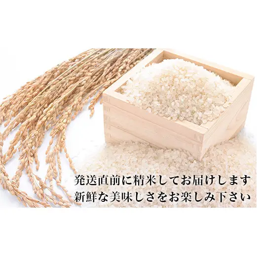 令和7年産 ササニシキ ヨシ腐葉土米  精米4kg（4kg×1袋）