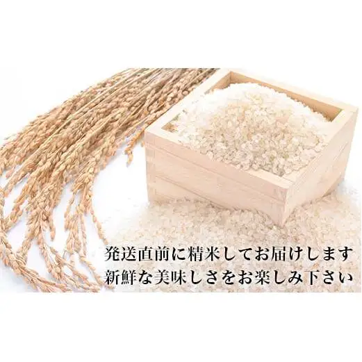 令和7年産 ヨシ腐葉土米 ひとめぼれ 精米4kg（4kg×1袋）
