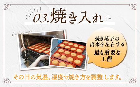 【全6回定期便】《ギフト》 焼き菓子 詰め合わせ 毎月7個[EBV011]  スイーツ すいーつ 焼菓子 セット ギフト おやつ 冷蔵 詰め合わせ 定期 定期便