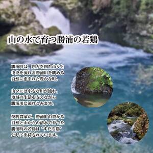 阿波すだち鶏 もも肉 2kg 