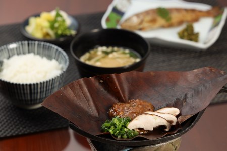 やみつき万能【朴葉味噌】(500g)×1本【53-28】