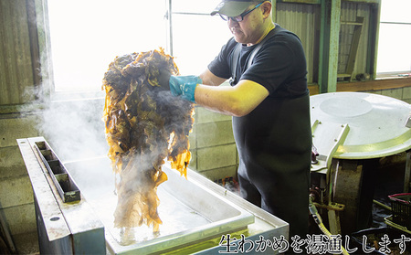 わかめ 湯通し塩蔵 瀬戸内 わかめ 500g×5袋