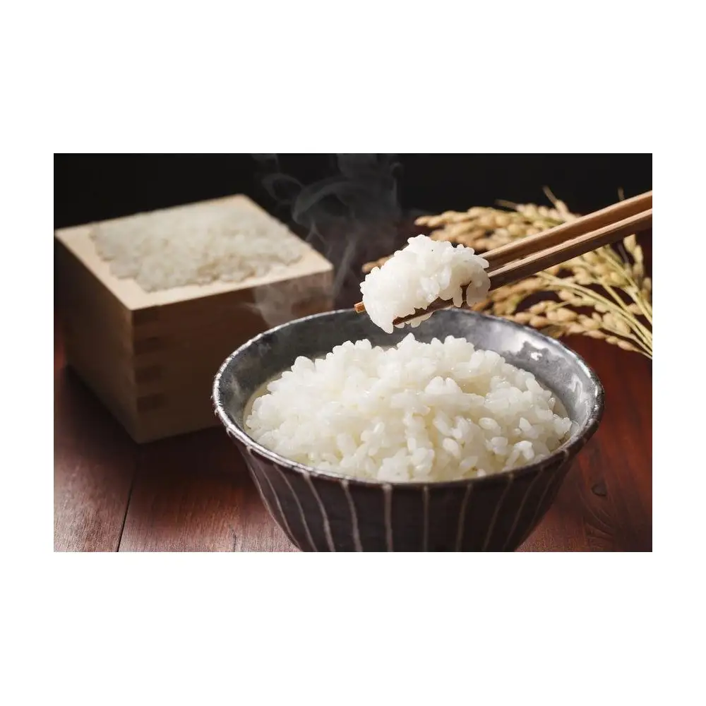 【令和7年産】雪温精法　新潟県産コシヒカリ＆新之助　各２kg